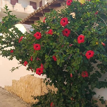 مبيت وإفطار ريالمونتي Al Faro المظهر الخارجي الصورة