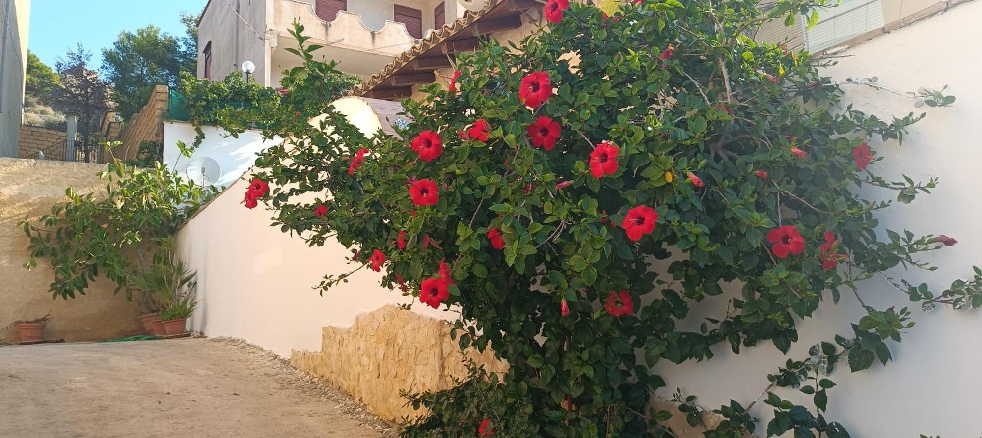 مبيت وإفطار ريالمونتي Al Faro المظهر الخارجي الصورة